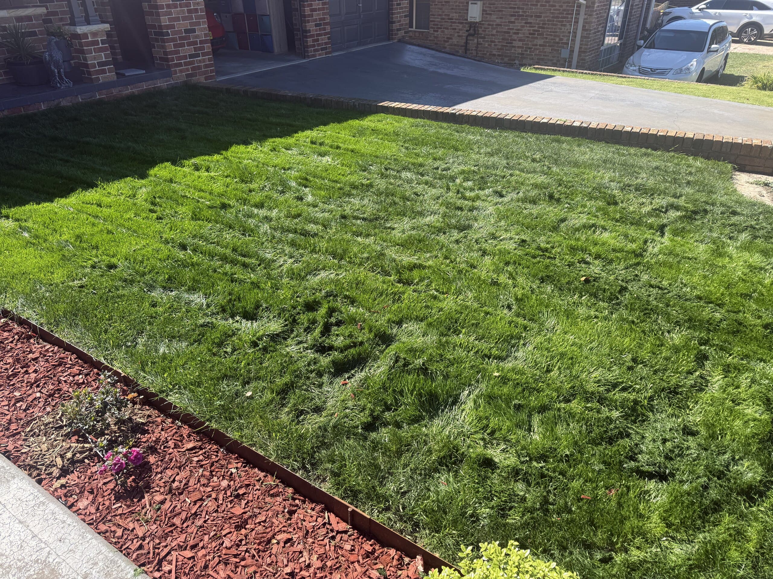 Green front lawn beside a red mulch garden border