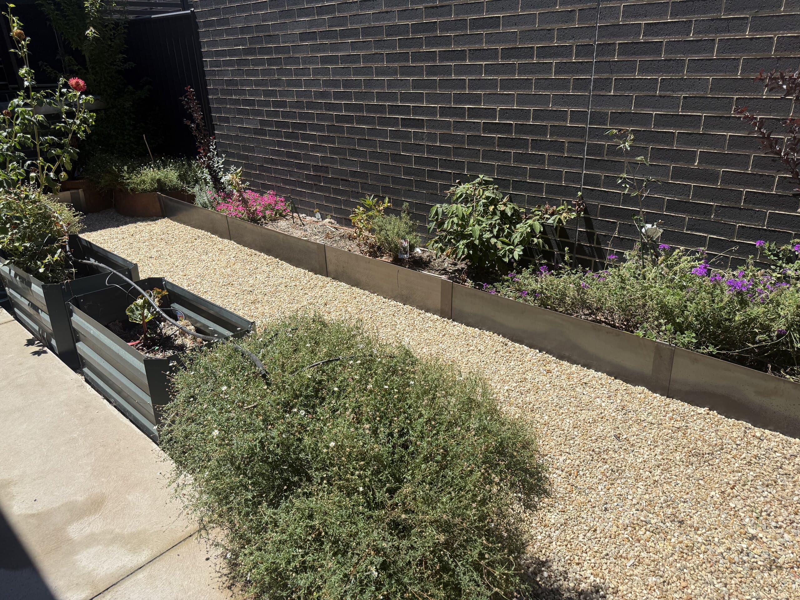 Gravel garden bed with plants beside a dark brick wall