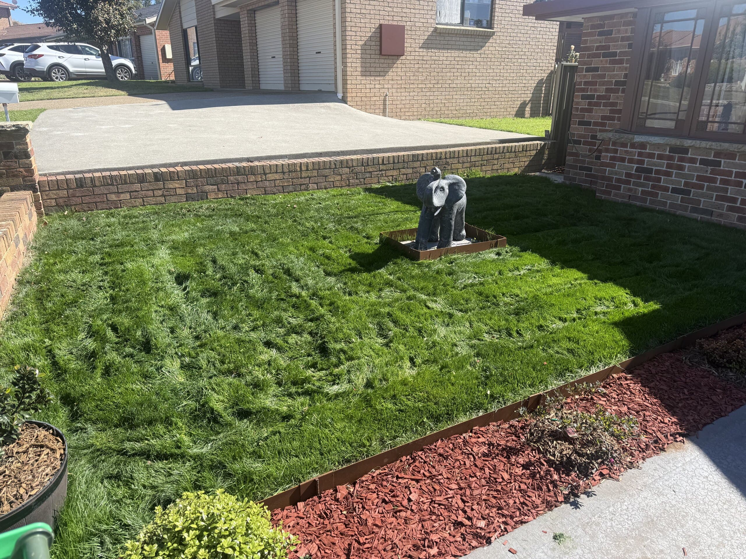 Newly established lawn beside a red mulch border