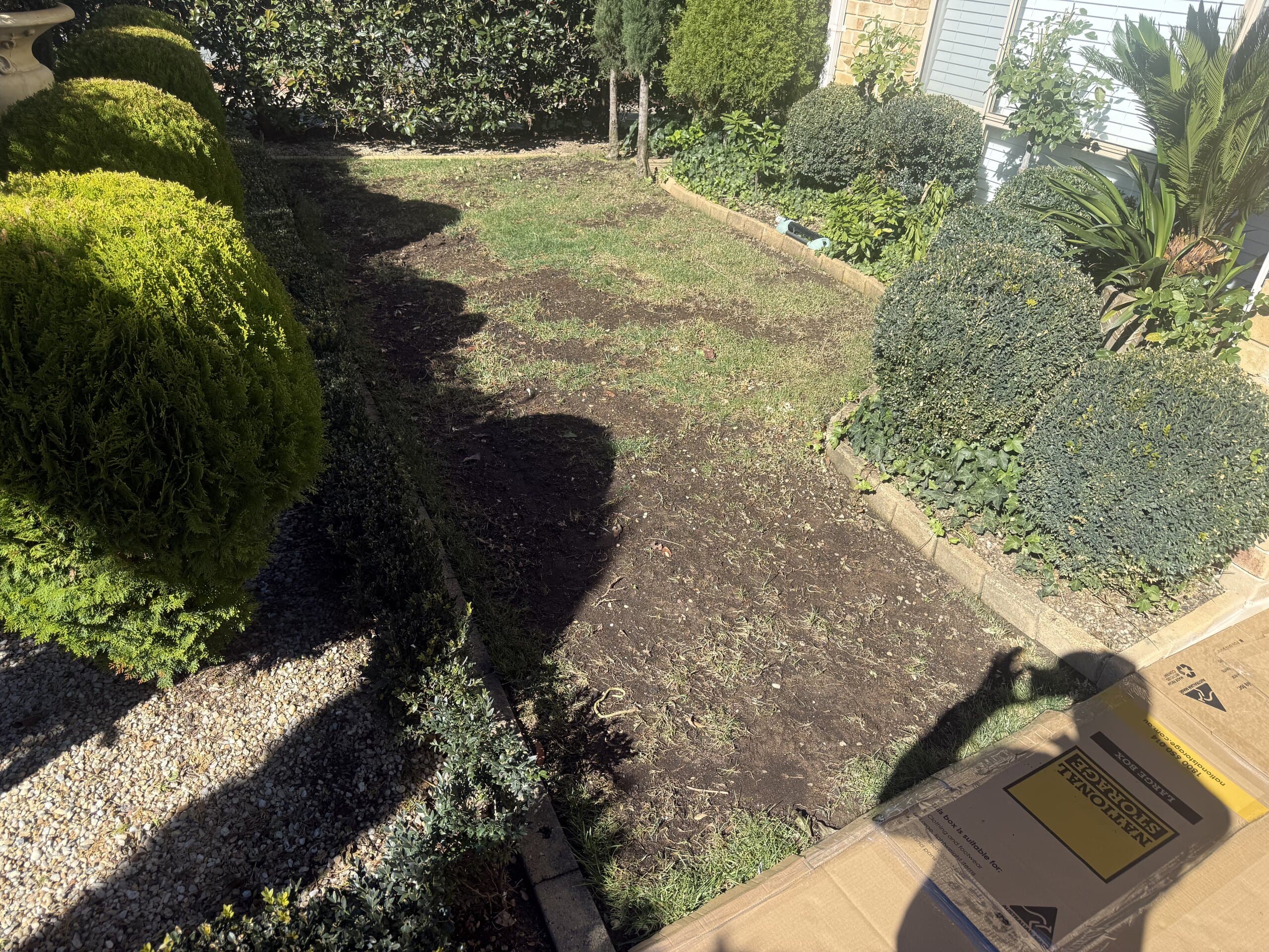 Shaped shrubs and a garden bed beside a lawn