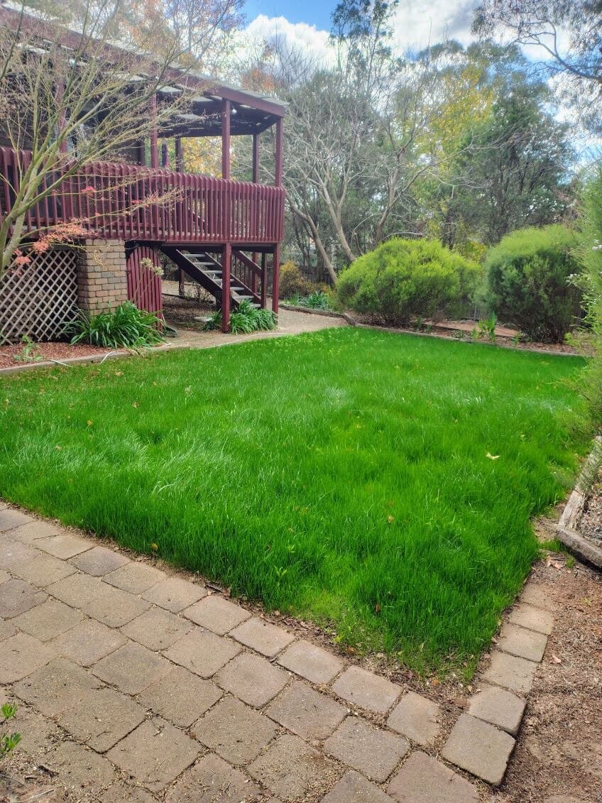 Lush lawn beside a paved path and garden beds