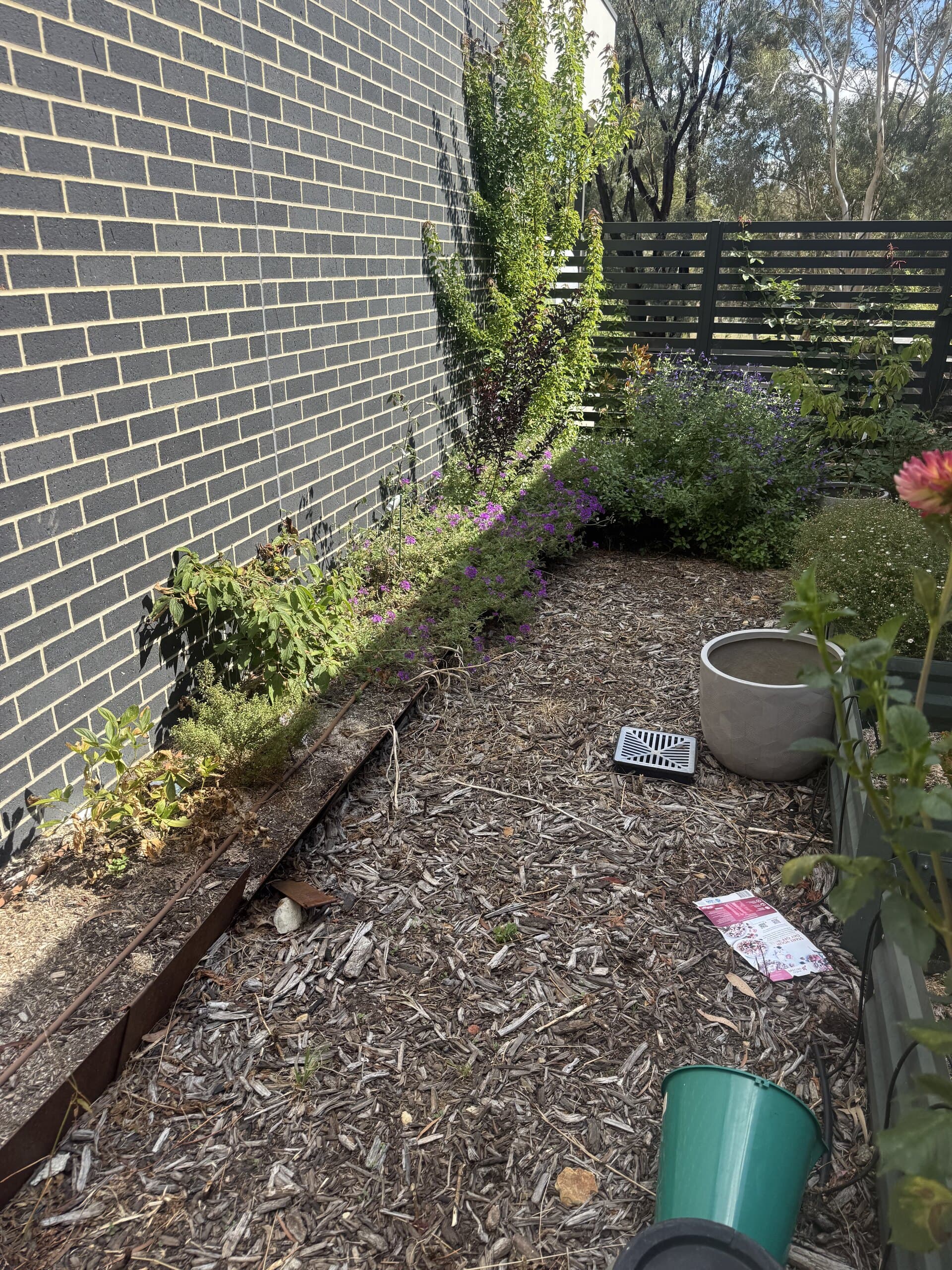 Narrow cleared garden bed beside a brick wall