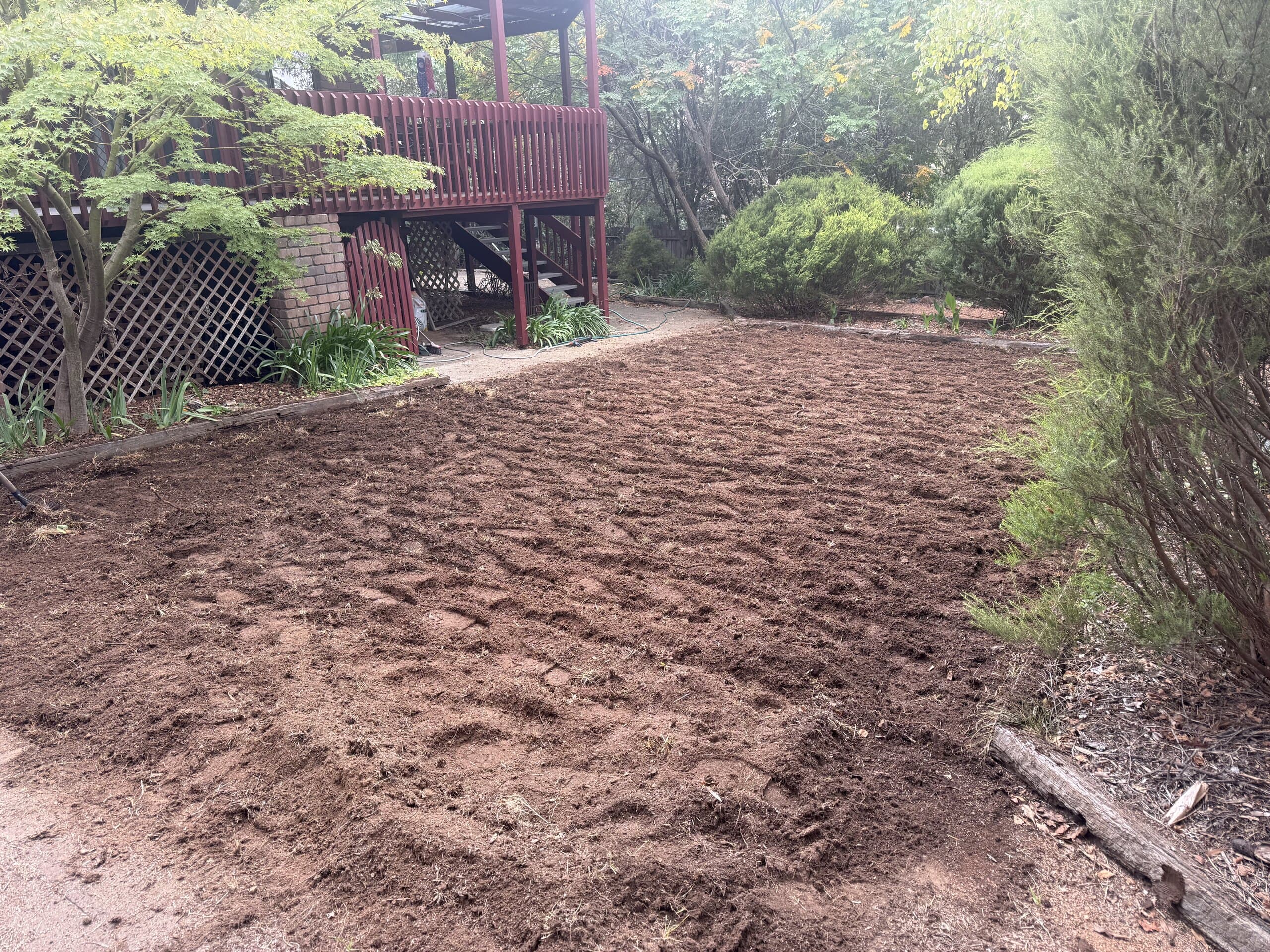 Prepared backyard soil