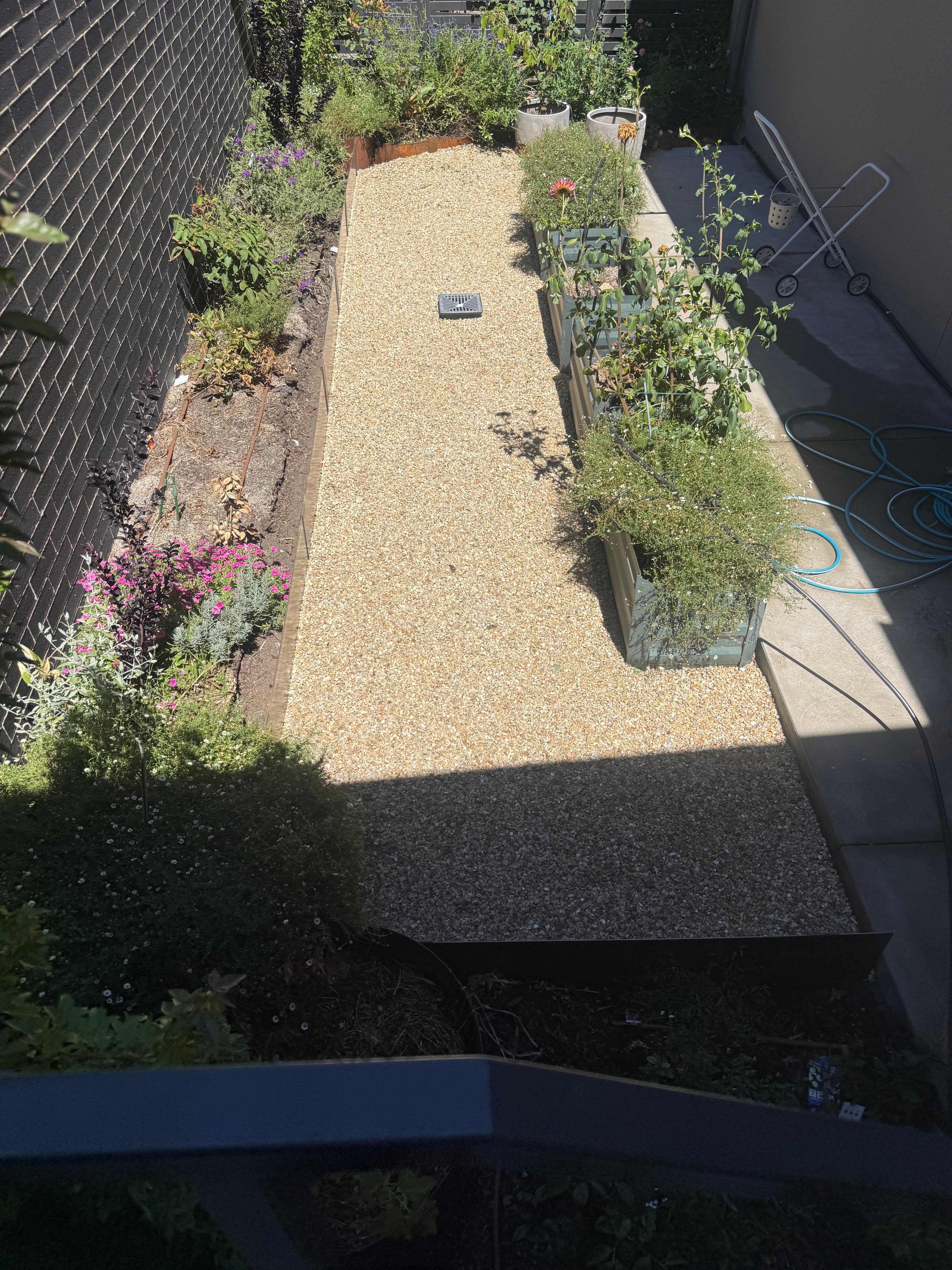 Freshly mown lawn with neat edges and tidy garden beds